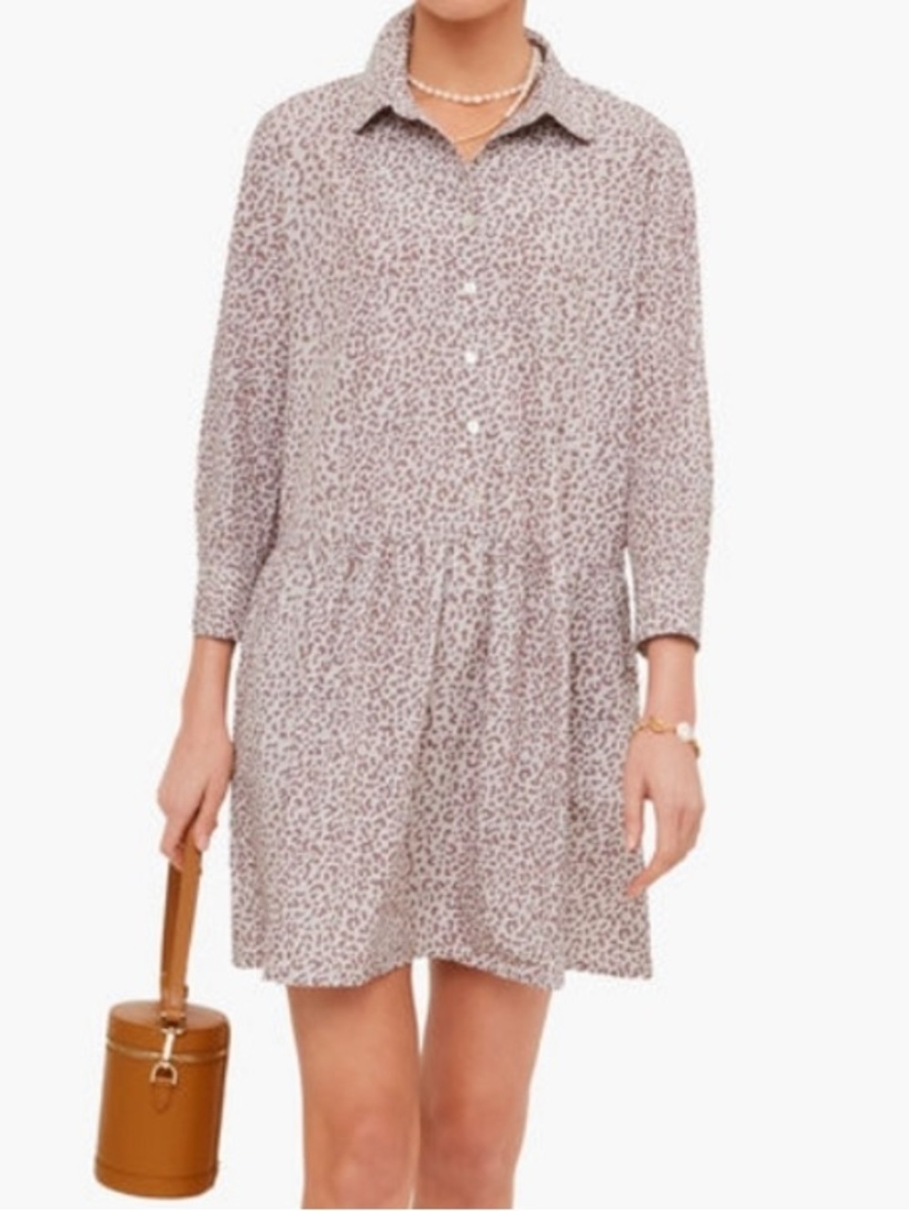 Tuckernuck Light Leopard Hayes Drop Waist Button Front Mini Dress Fall